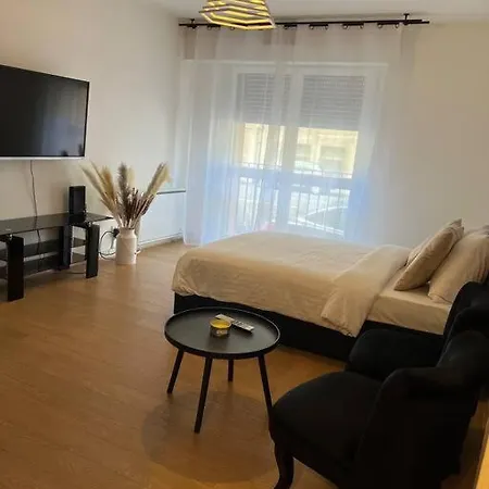 Logement Proche Place Stanislas Avec Parking Apartment *